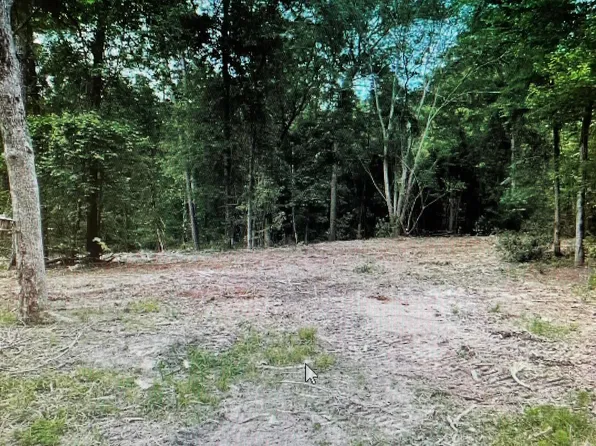 County Road 3163 S, Mount Enterprise, TX 75681