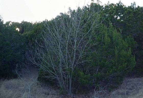 1st image of 302 Summit Edge Dr