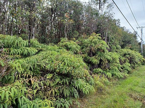 4th image of 11-3095 Hibiscus St Lot 7577