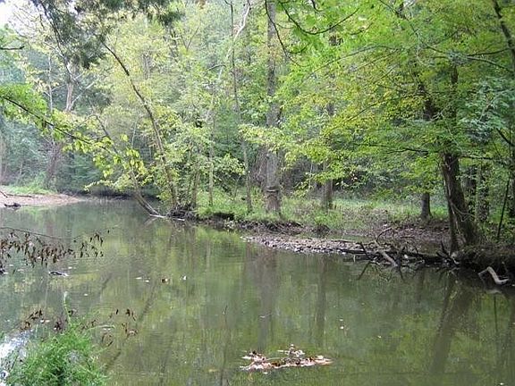 5th image of 13 Watauga Ln #13