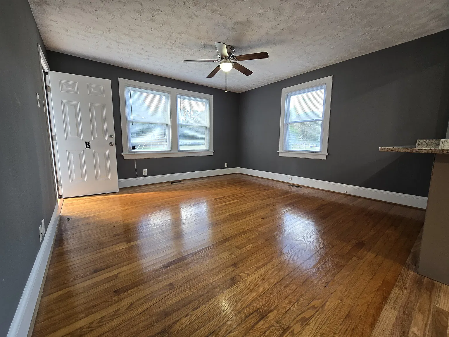 2 bed, 950 sqft, $1,450 — Photo 3