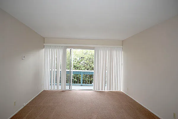 810 Mariposa St — Photo 3