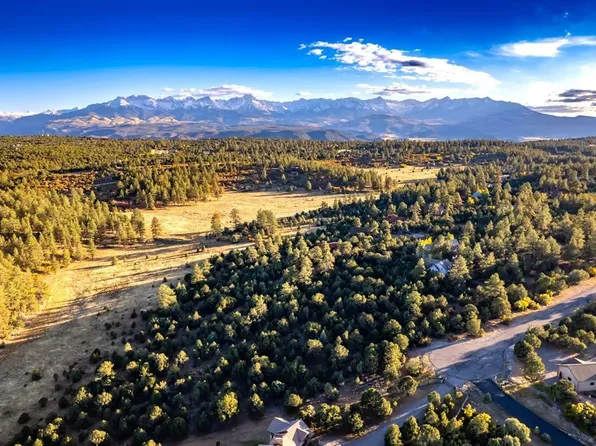 206 Woodchuck Place, Ridgway, CO 81432