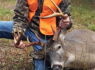 1 Fortune Hole Rd, Hamilton, GA 31811