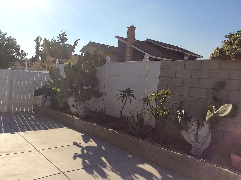 1st image of 25980 Coriander Ct