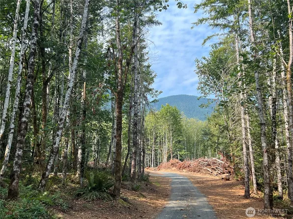 131 Buster Place, Quilcene, WA 98376