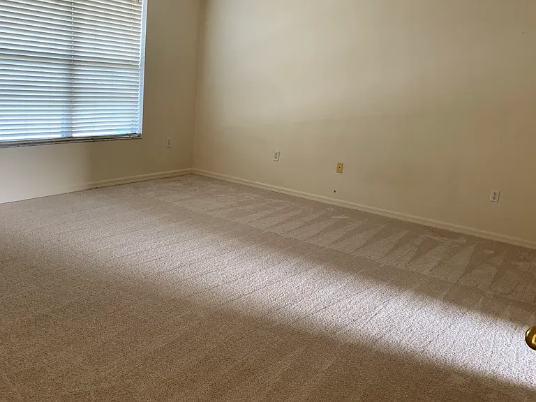 4459 Cherry Branch Ct — Photo 12