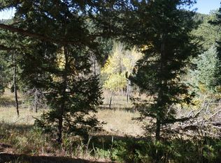 11946 Silver Bear Rd, Conifer, CO 80433
