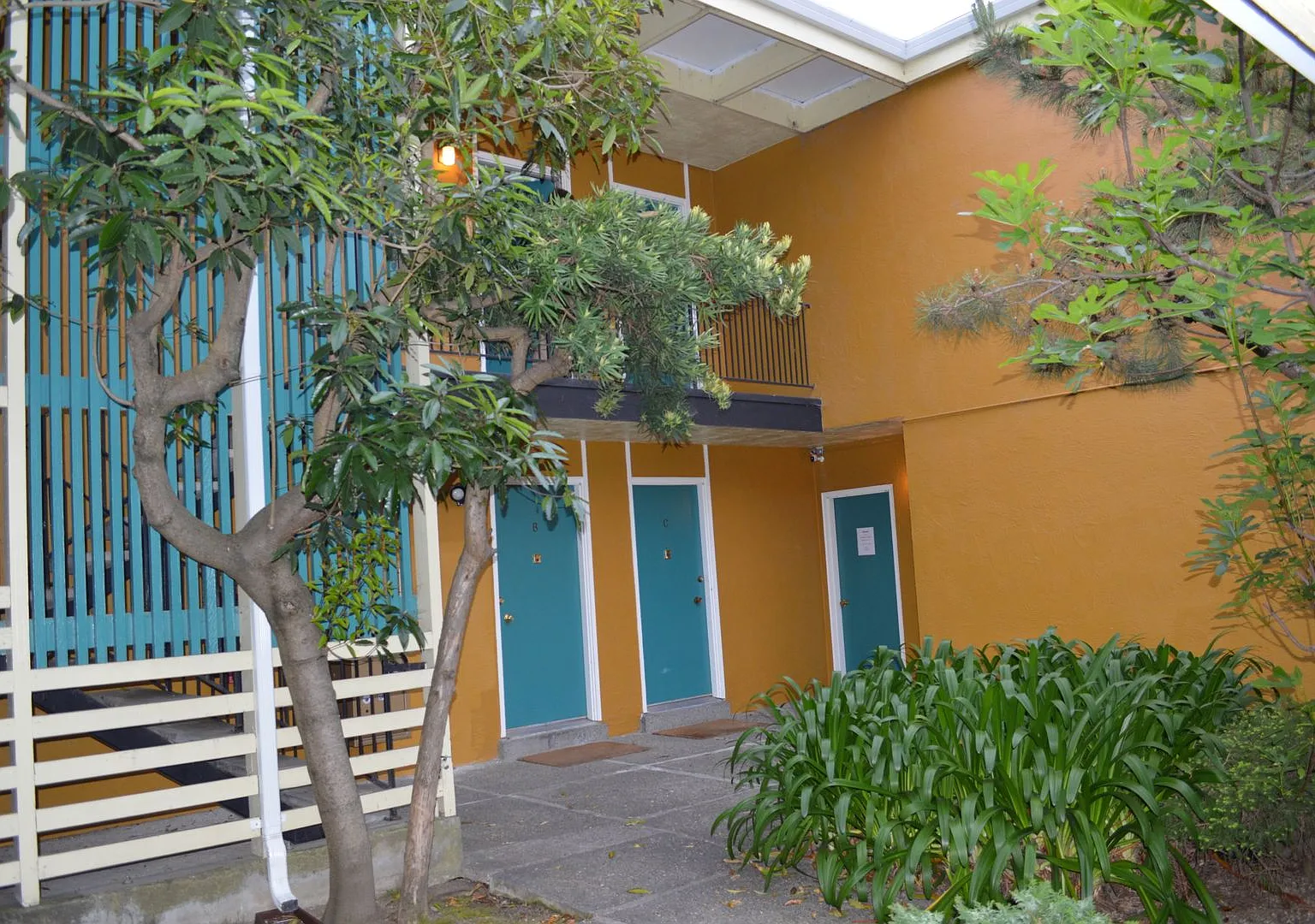 King Francisco St. — Photo 1