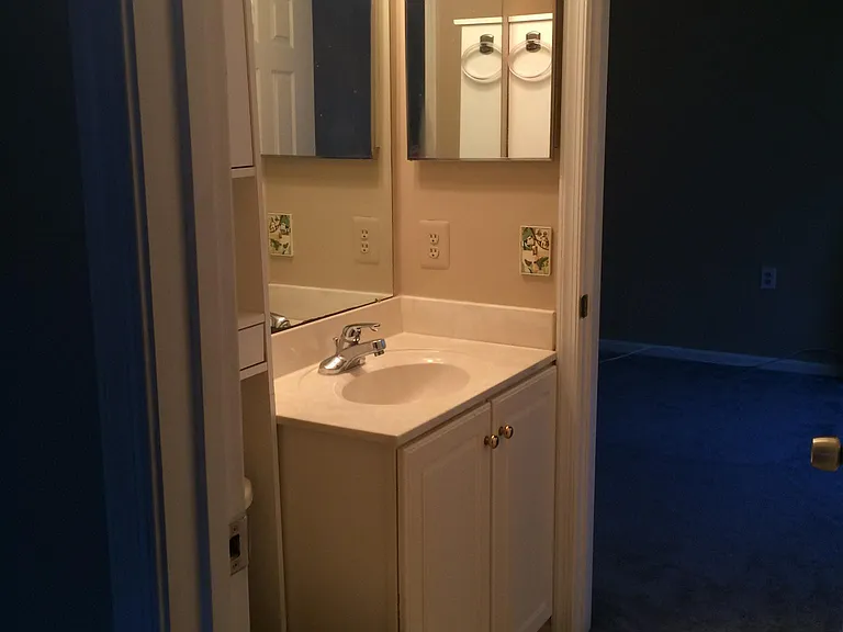 Jack and Jill Bathroom