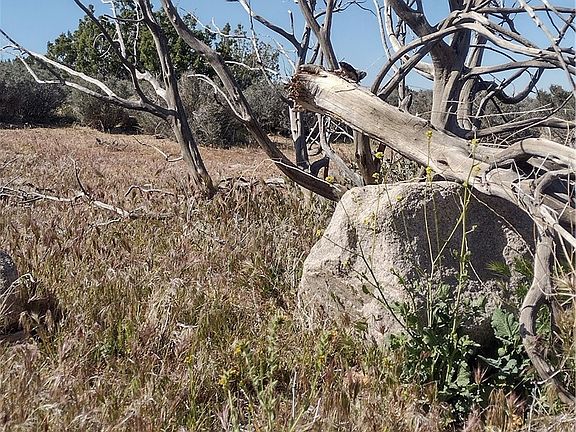 5th image of 20 Mesa Rd