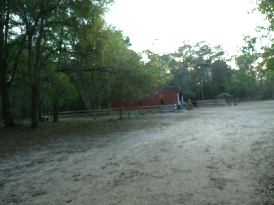 back yard barn