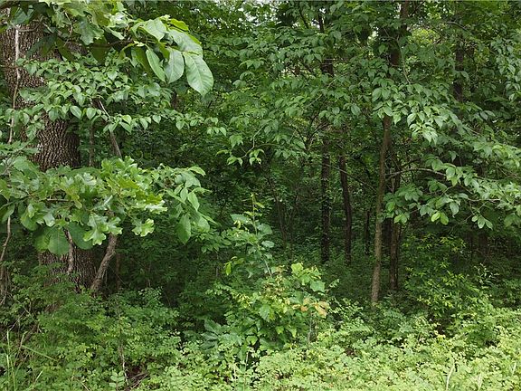 5th image of Osborne Ln #30