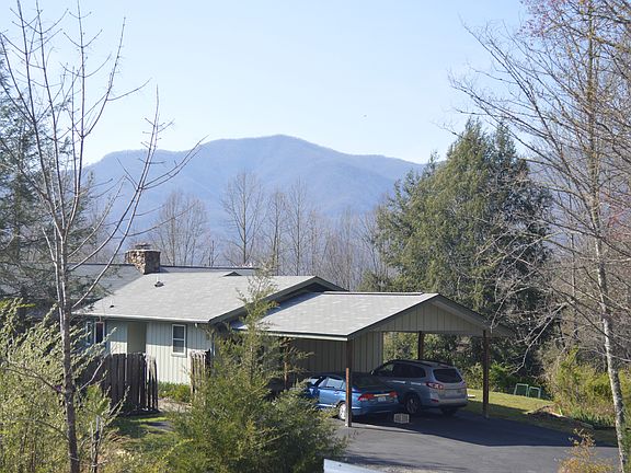 View from Potting Shed