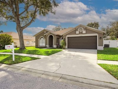 22536 Magnolia Trace Blvd, Lutz, FL, 33549