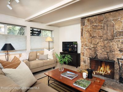 940 Waters Ave #102, Aspen, CO, 81611