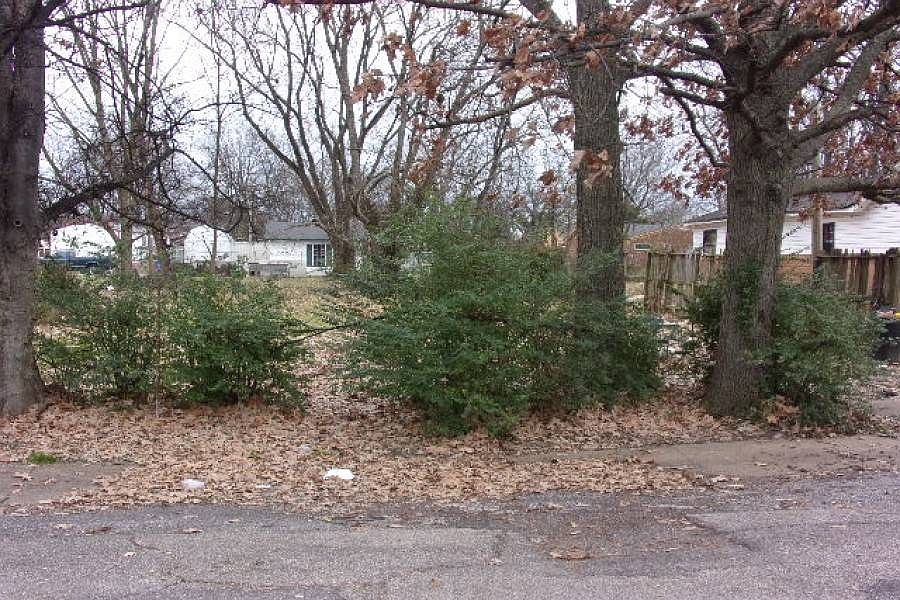2nd image of 309 N 11th St