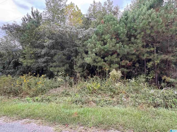 0 Lost Creek Cir #16, Remlap, AL 35133