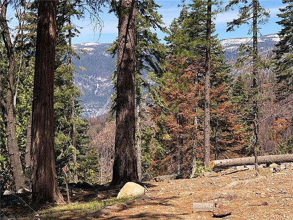 3rd image of 7301 Yosemite Park Way