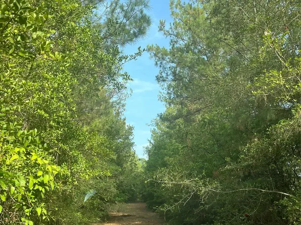 12931 Hickory Branch Ln, Plantersville, TX 77363