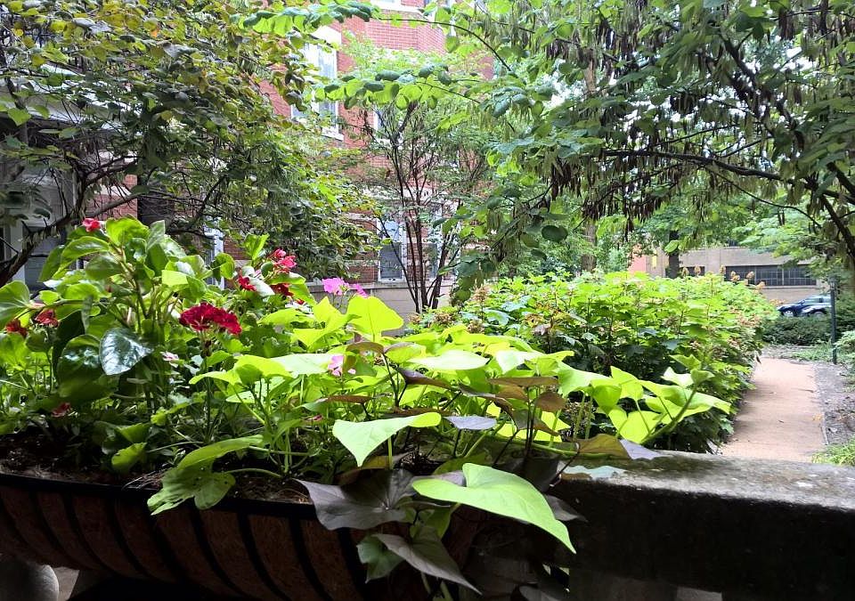 View from balcony