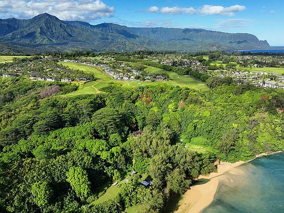 4th image of 3949 Aloalii Dr Lot 49