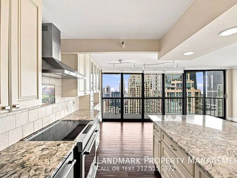 10 E Ontario St #4908 — Photo 8