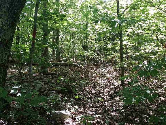 5th image of 12800 Lloyd Rick Rd