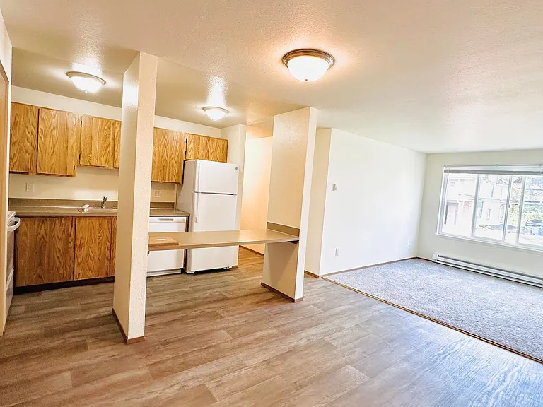 The Shannon Apartments — Photo 6