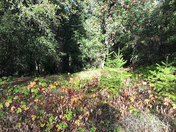5th image of 4055 Iowa Hill Rd