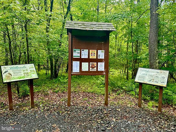 4th image of 1 Snaggy Mountain Rd