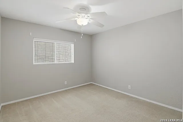 25537 Gold Yarrow — Photo 13