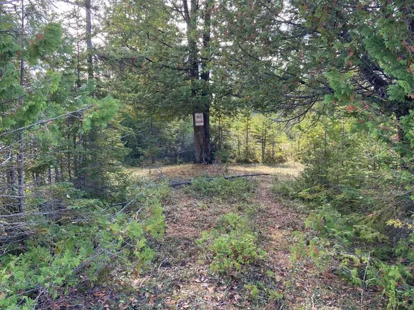 Tbd E Bass Cove Rd, Drummond Island, MI 49726