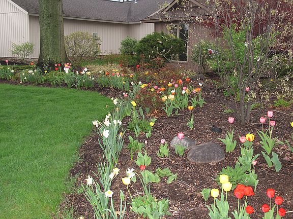 3rd image of 8887 Riverwood Dr