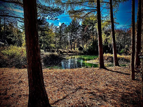 3rd image of 7S570 Donwood Dr E