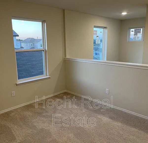 451 Forsythia — Photo 25