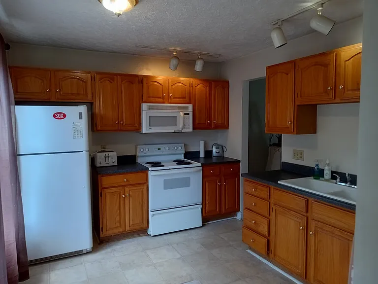 265 Bronze Leaf Dr — Photo 14