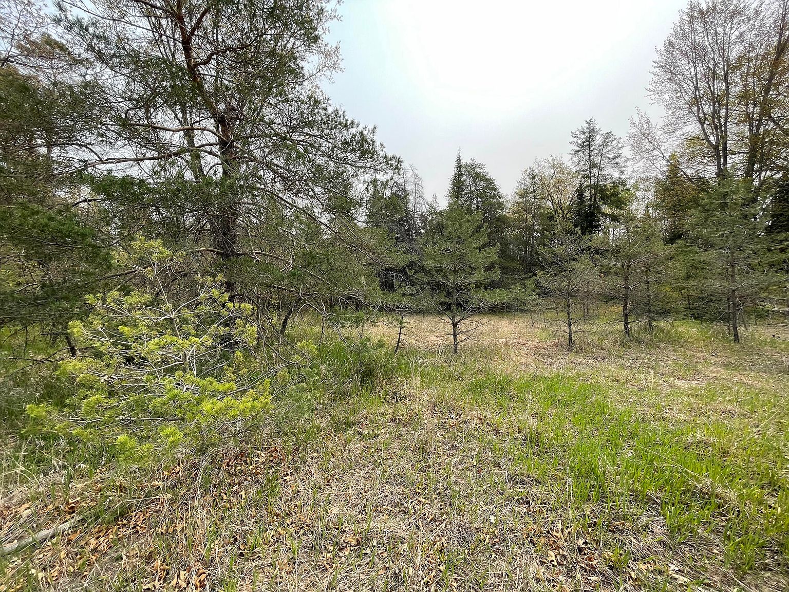 Ryan Rd, Atlanta, MI 49709 | Zillow