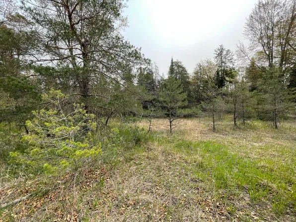 Ryan Rd, Atlanta, MI 49709