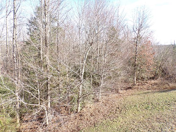 5th image of 9615 Laurel Oak Dr