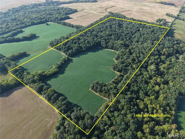 0 Wesbecher Rd, Ellis Grove, IL 62241