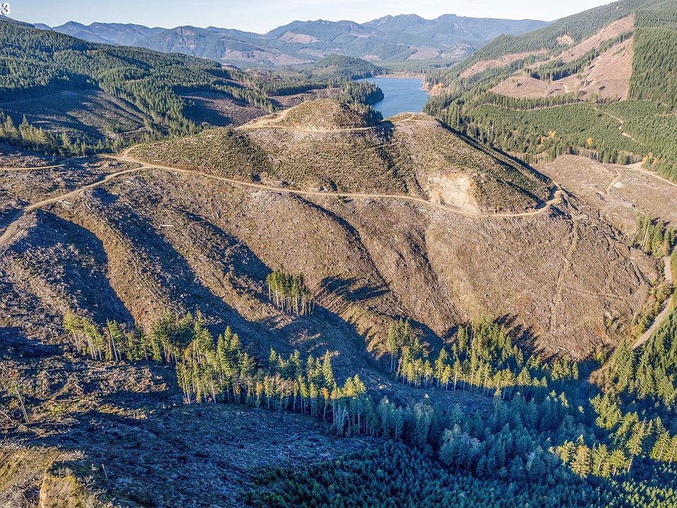 71 Usfs 8100 Rd, Cougar, WA 98616 MLS 23493575 Zillow