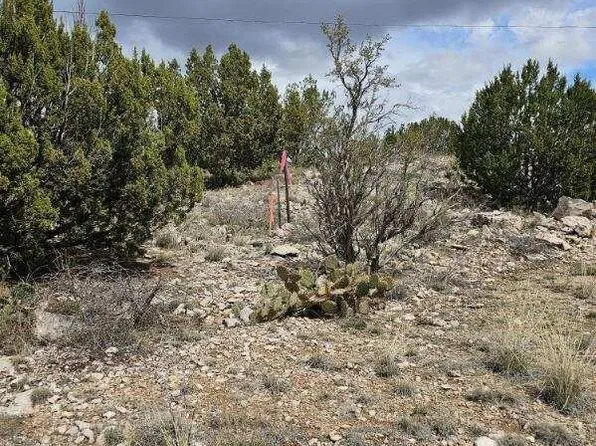 3485 W Valley View Dr, Chino Valley, AZ 86323