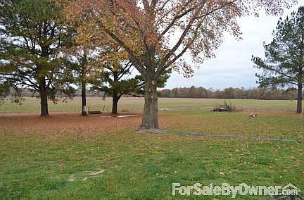 Peaceful View
						:
						View from the back porch