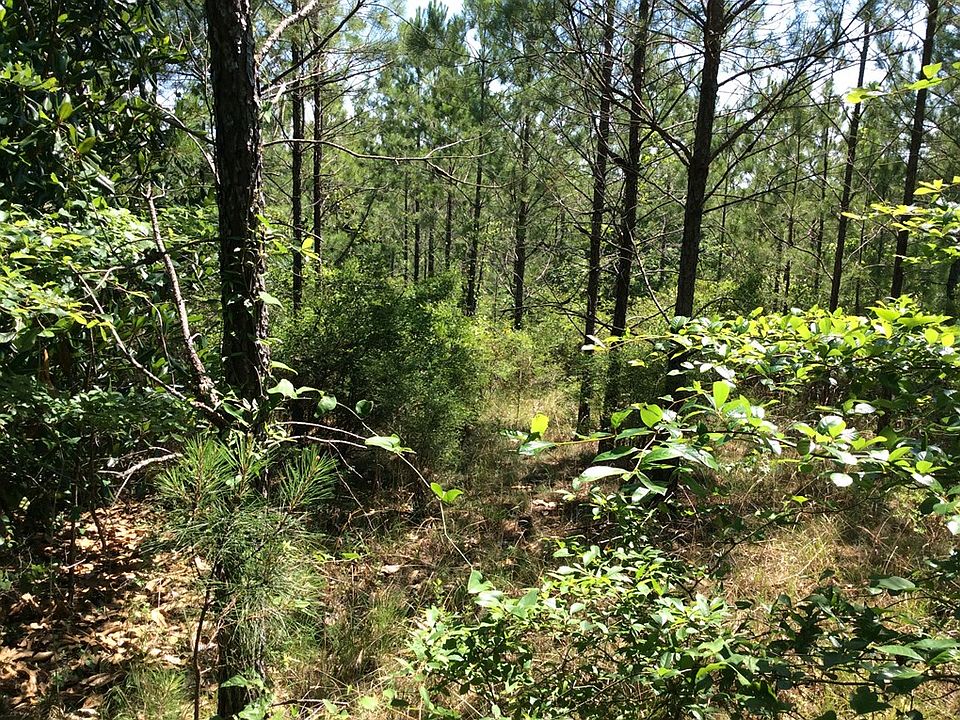 1 New Ebenezer Rd, Lapine, AL 36046 Zillow