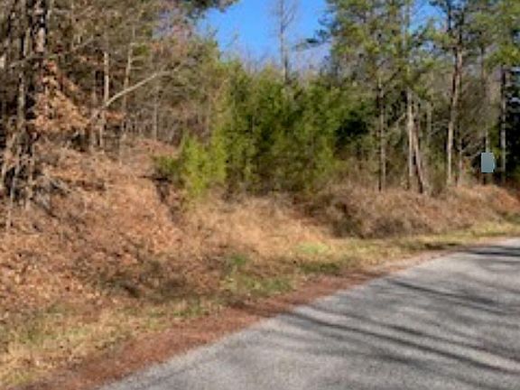 Image 4: Barb Hardin 3