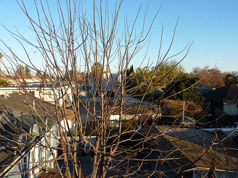 36 S Morrison Ave #5 — Photo 20