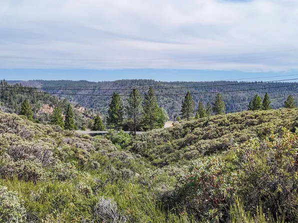 8131 Grizzly Flat Rd, Somerset, CA 95684