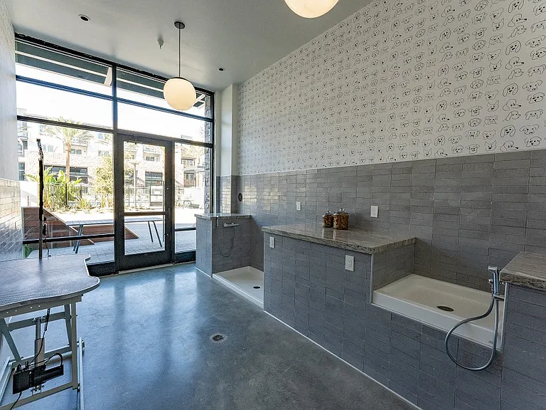 Pet Wash
