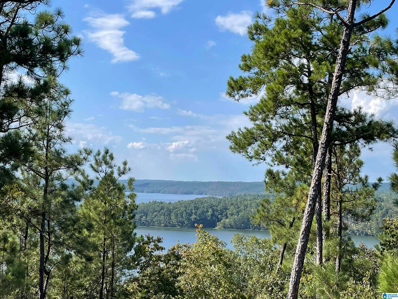 0 Eagle Mountain Rd 1, Weogufka, AL 35183 Zillow